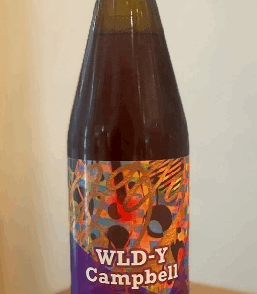 新規入荷ビールのご紹介（Lake Toya Beer）