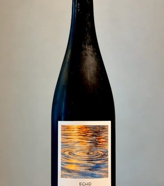 新規入荷ビールのご案内(permanent)
